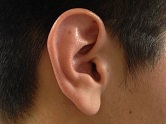 closeup of someone's ear